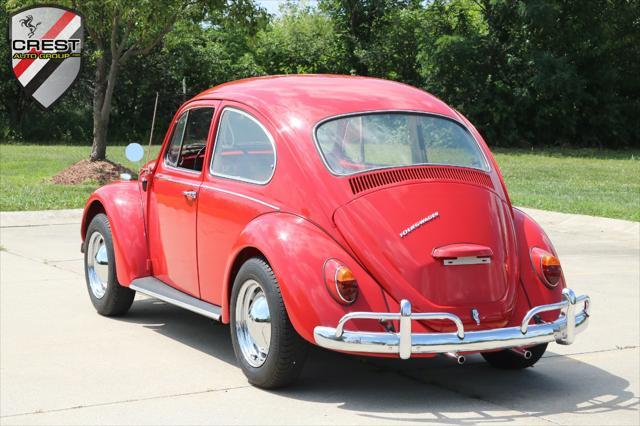 used 1967 Volkswagen Beetle (Pre-1980) car