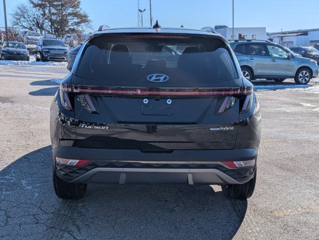 used 2024 Hyundai Tucson Hybrid car, priced at $36,335