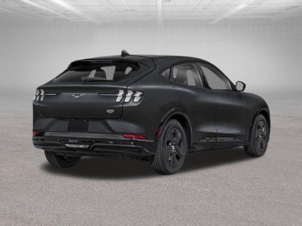 new 2025 Ford Mustang Mach-E car, priced at $39,690