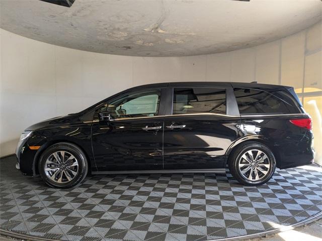 used 2023 Honda Odyssey car, priced at $36,824