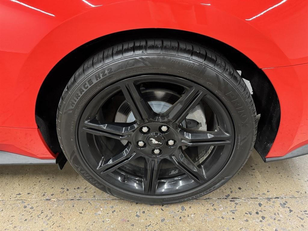 used 2019 Ford Mustang car, priced at $21,900