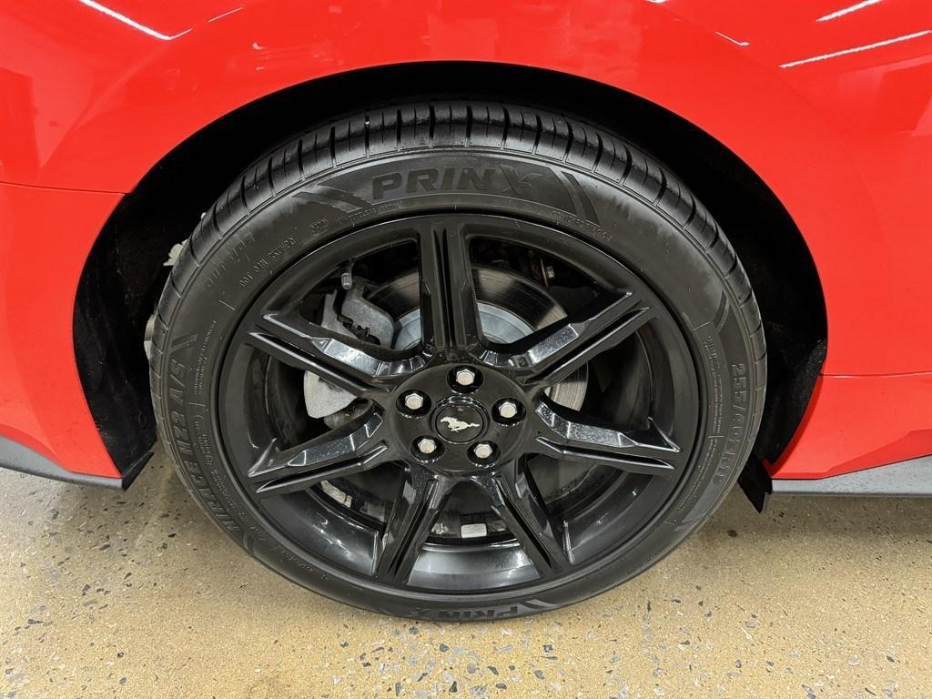 used 2019 Ford Mustang car, priced at $21,900