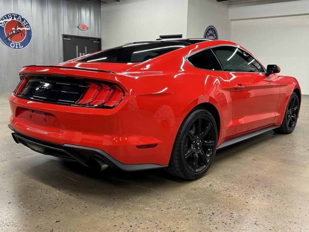 used 2019 Ford Mustang car, priced at $21,900