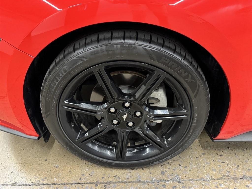 used 2019 Ford Mustang car, priced at $21,900