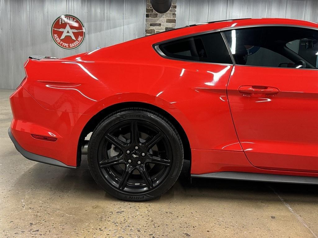 used 2019 Ford Mustang car, priced at $21,900