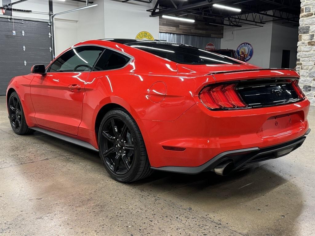 used 2019 Ford Mustang car, priced at $21,900