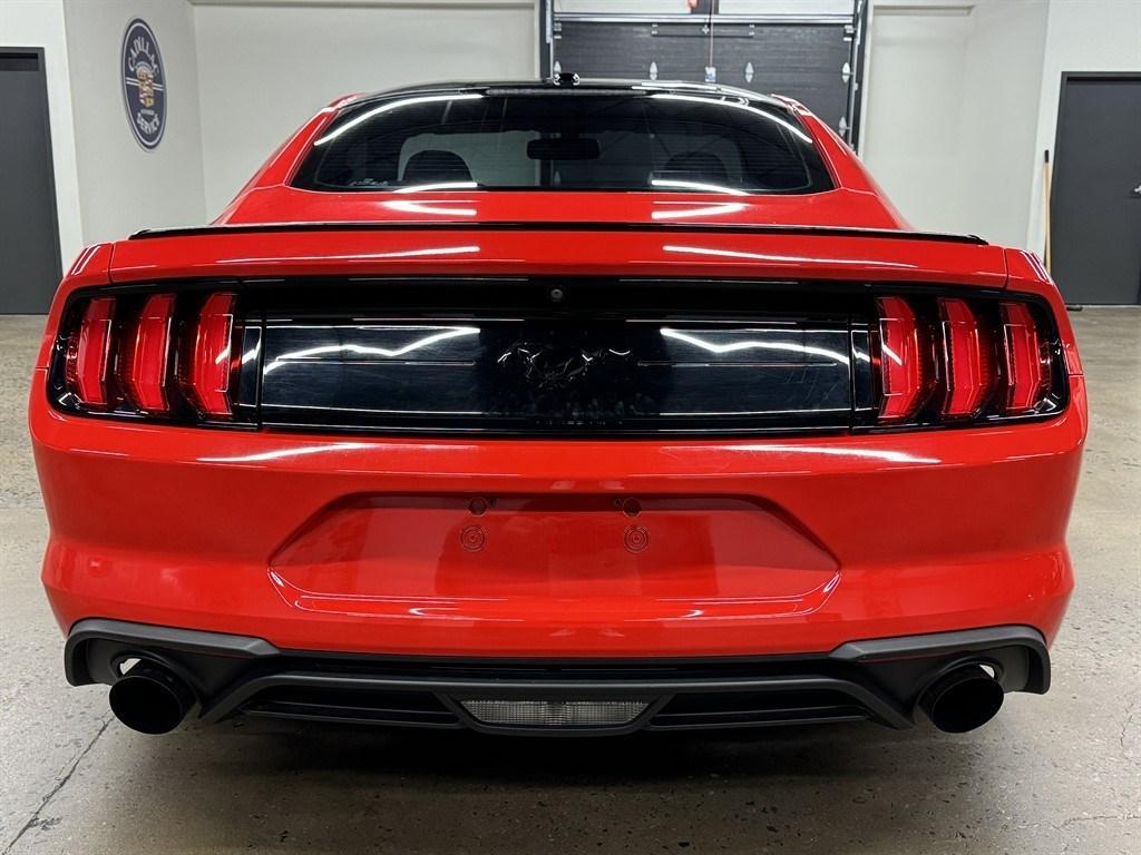 used 2019 Ford Mustang car, priced at $21,900