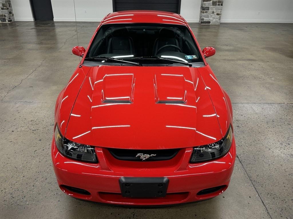 used 2004 Ford Mustang car, priced at $55,900