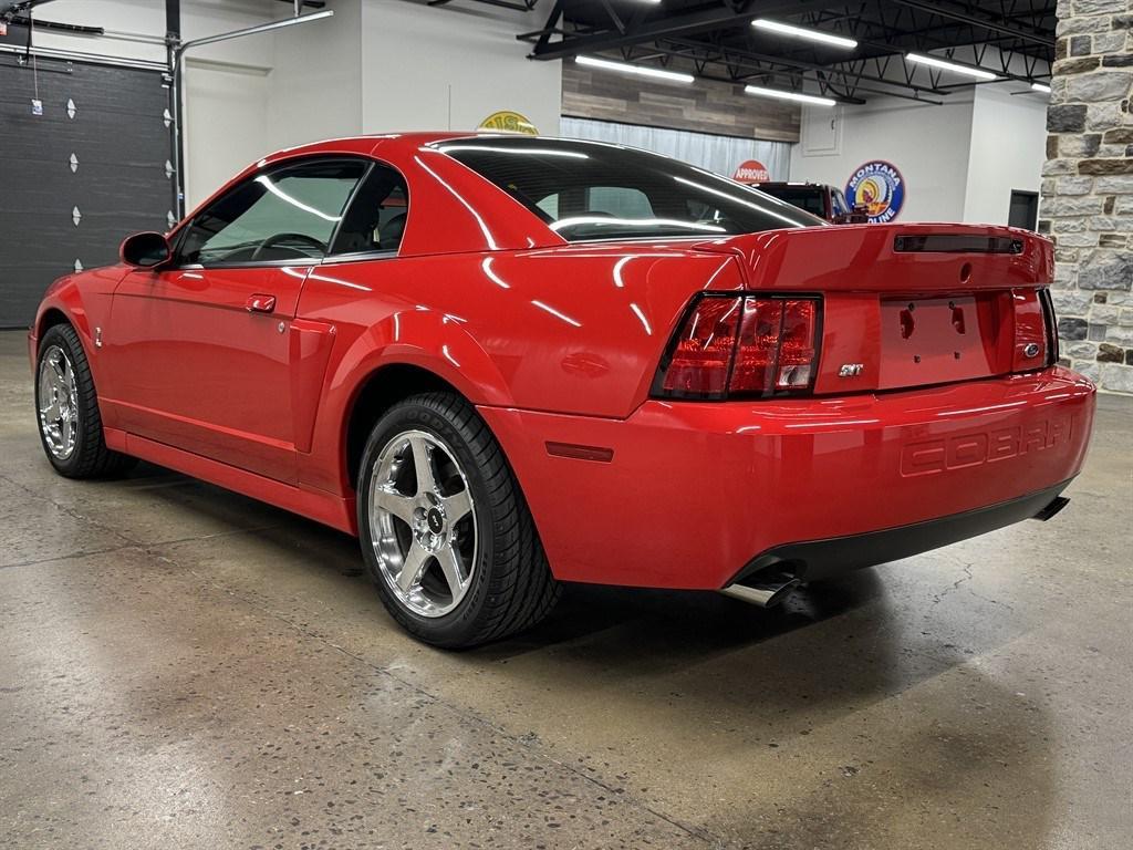 used 2004 Ford Mustang car, priced at $55,900