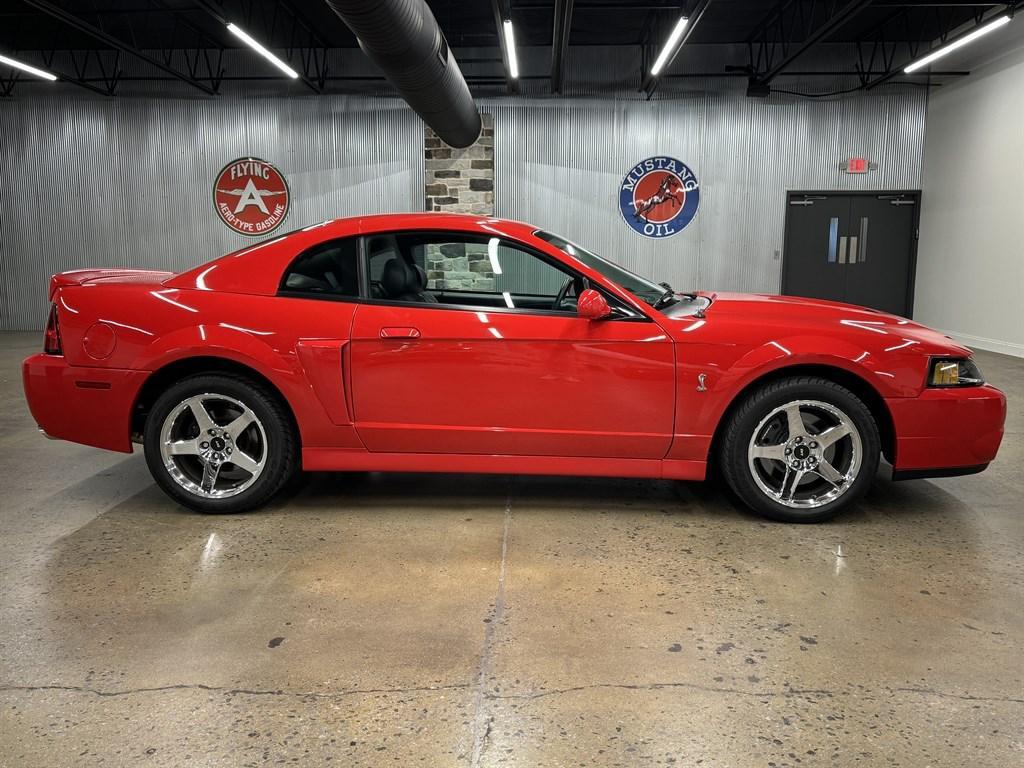used 2004 Ford Mustang car, priced at $55,900
