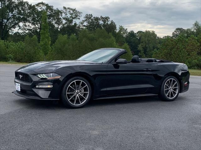 used 2019 Ford Mustang car, priced at $23,900