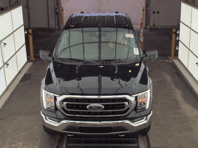 used 2021 Ford F-150 car