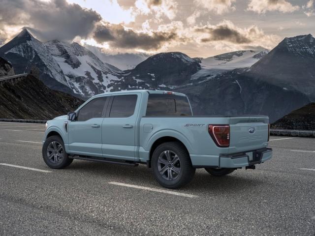 new 2023 Ford F-150 car, priced at $60,460