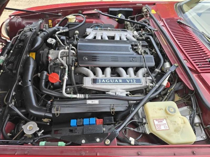 used 1995 Jaguar XJS car, priced at $19,500