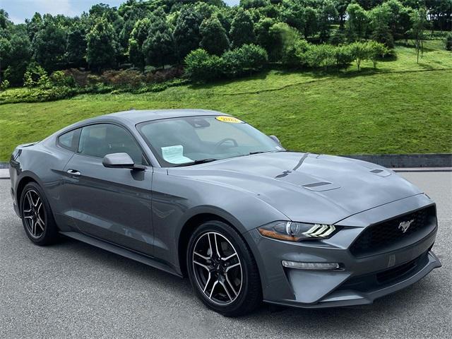 used 2022 Ford Mustang car, priced at $26,528