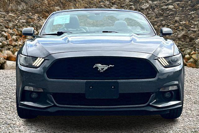 used 2017 Ford Mustang car, priced at $16,995