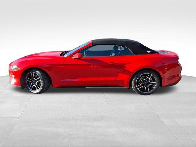 used 2023 Ford Mustang car, priced at $22,968