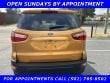 used 2022 Ford EcoSport car, priced at $22,950