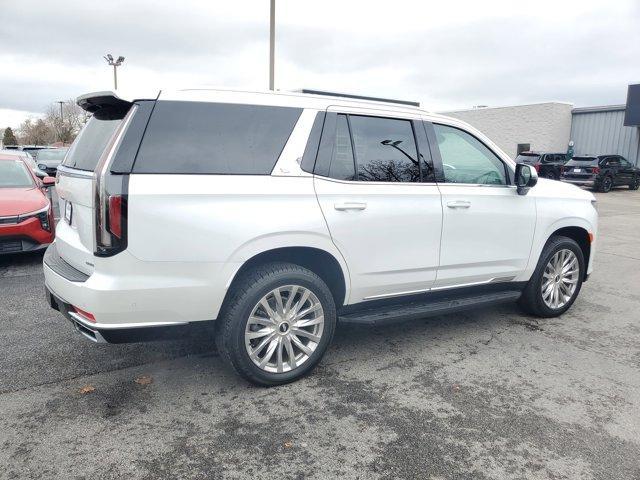 used 2023 Cadillac Escalade car, priced at $64,283