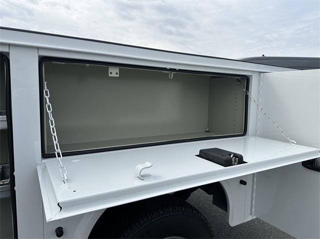 new 2025 Ford F-250 car, priced at $67,009