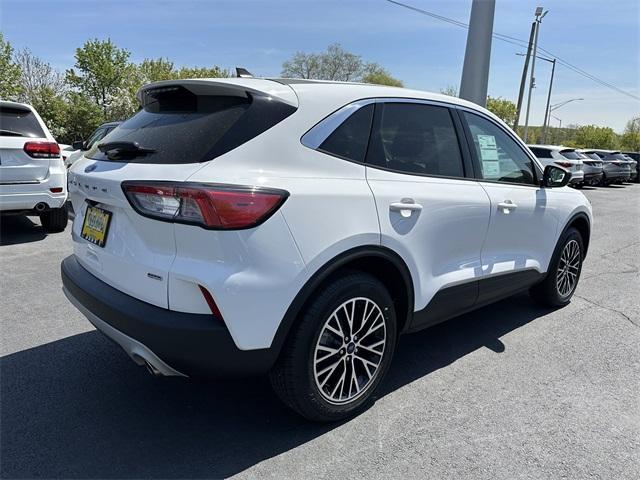 used 2022 Ford Escape PHEV car, priced at $24,200