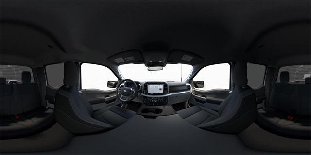 new 2024 Ford F-150 car