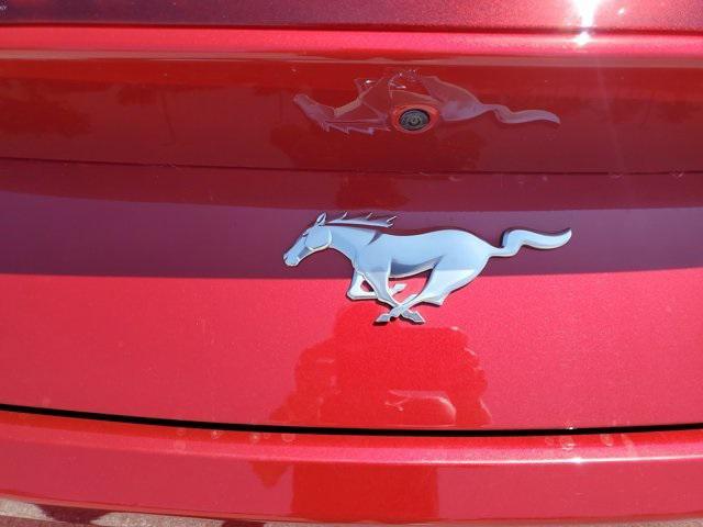 used 2024 Ford Mustang car, priced at $43,990