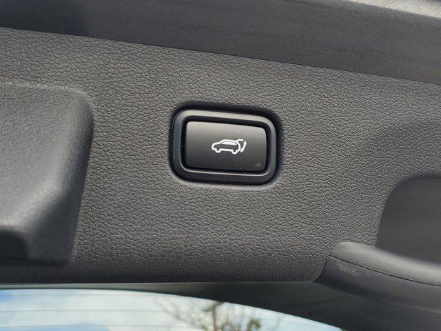 used 2024 Kia Sportage car, priced at $23,998