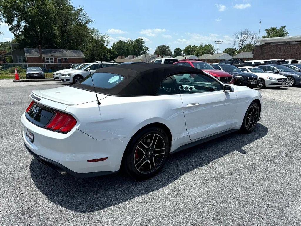 used 2019 Ford Mustang car, priced at $19,990