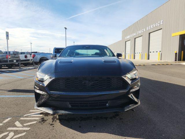 used 2021 Ford Mustang car, priced at $24,499