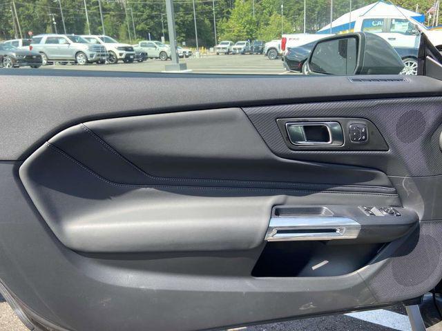new 2024 Ford Mustang car