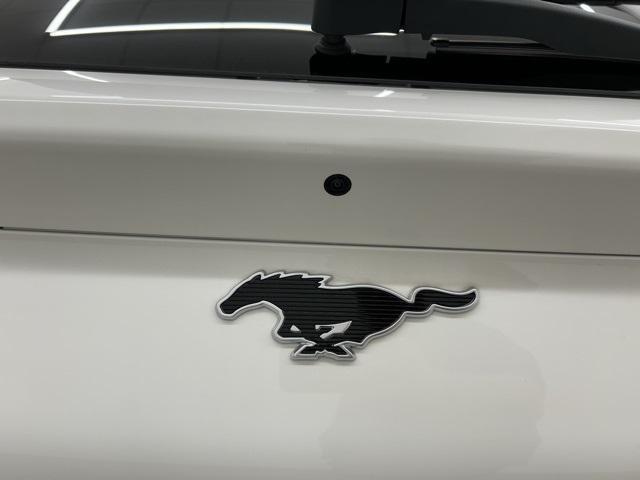 new 2025 Ford Mustang Mach-E car, priced at $49,319