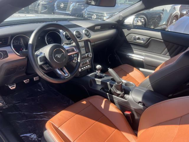 used 2019 Ford Mustang car, priced at $38,000