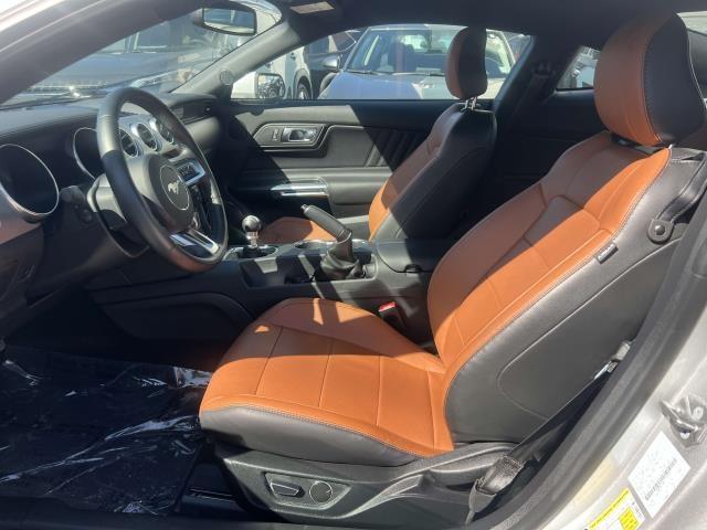 used 2019 Ford Mustang car, priced at $38,000