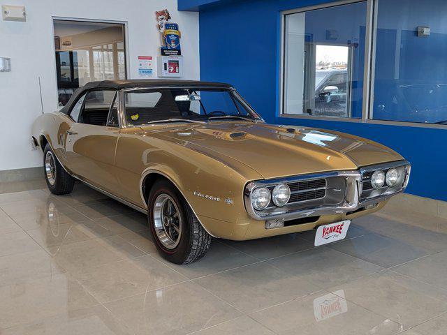 used 1967 Pontiac Firebird car