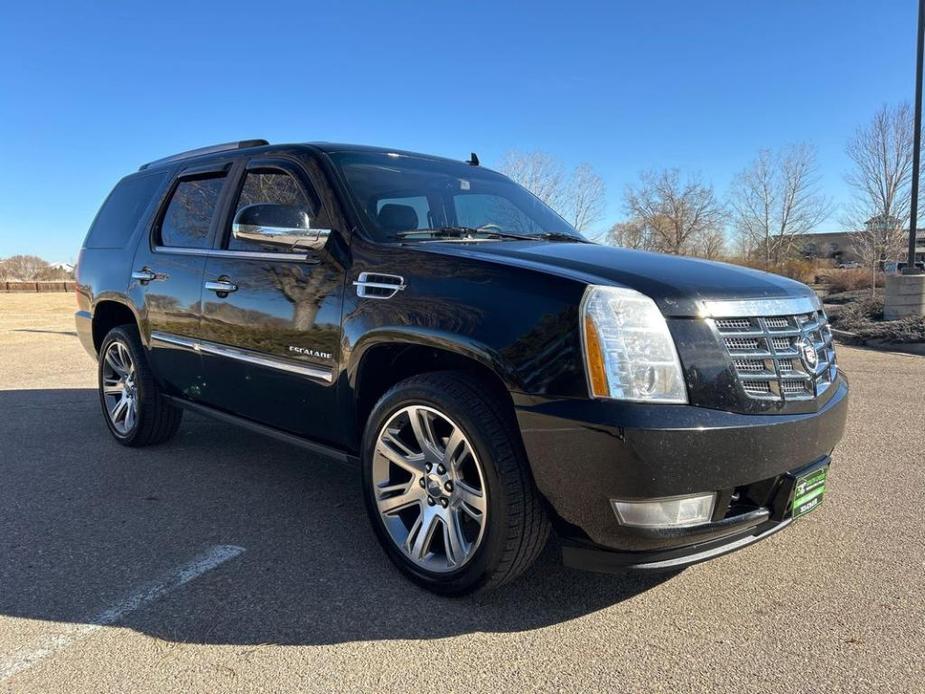 used 2010 Cadillac Escalade car, priced at $9,999