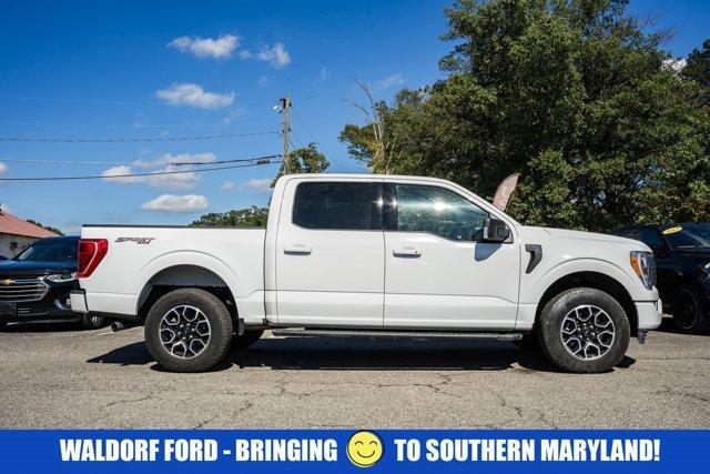used 2023 Ford F-150 car, priced at $40,000