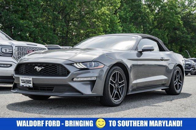 used 2023 Ford Mustang car, priced at $25,456