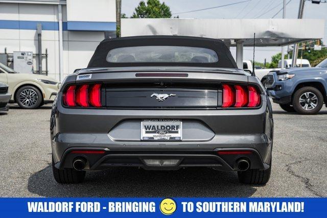 used 2023 Ford Mustang car, priced at $25,456