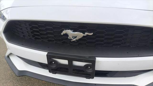 used 2021 Ford Mustang car, priced at $23,999