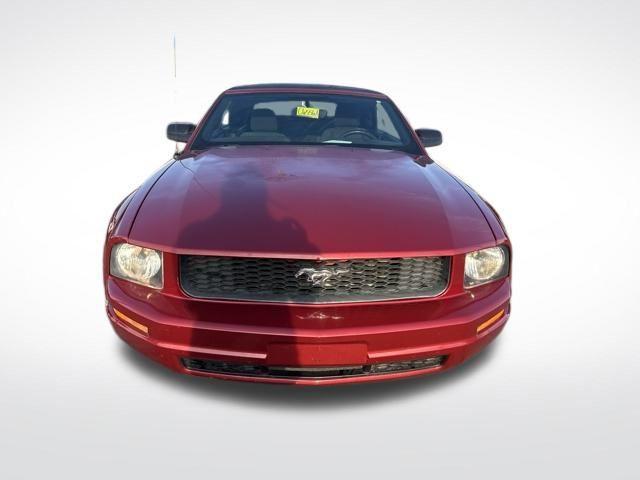 used 2006 Ford Mustang car, priced at $9,900