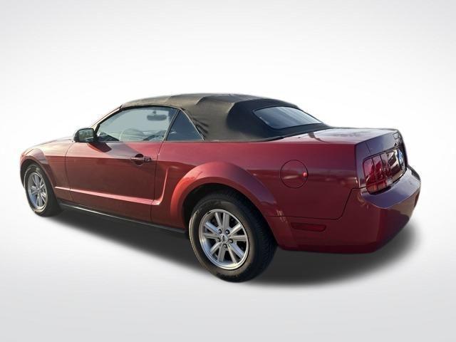 used 2006 Ford Mustang car, priced at $9,900