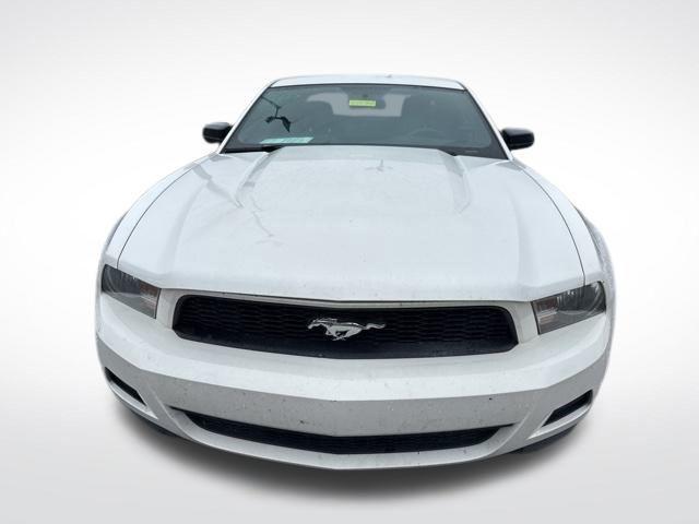 used 2010 Ford Mustang car, priced at $8,900