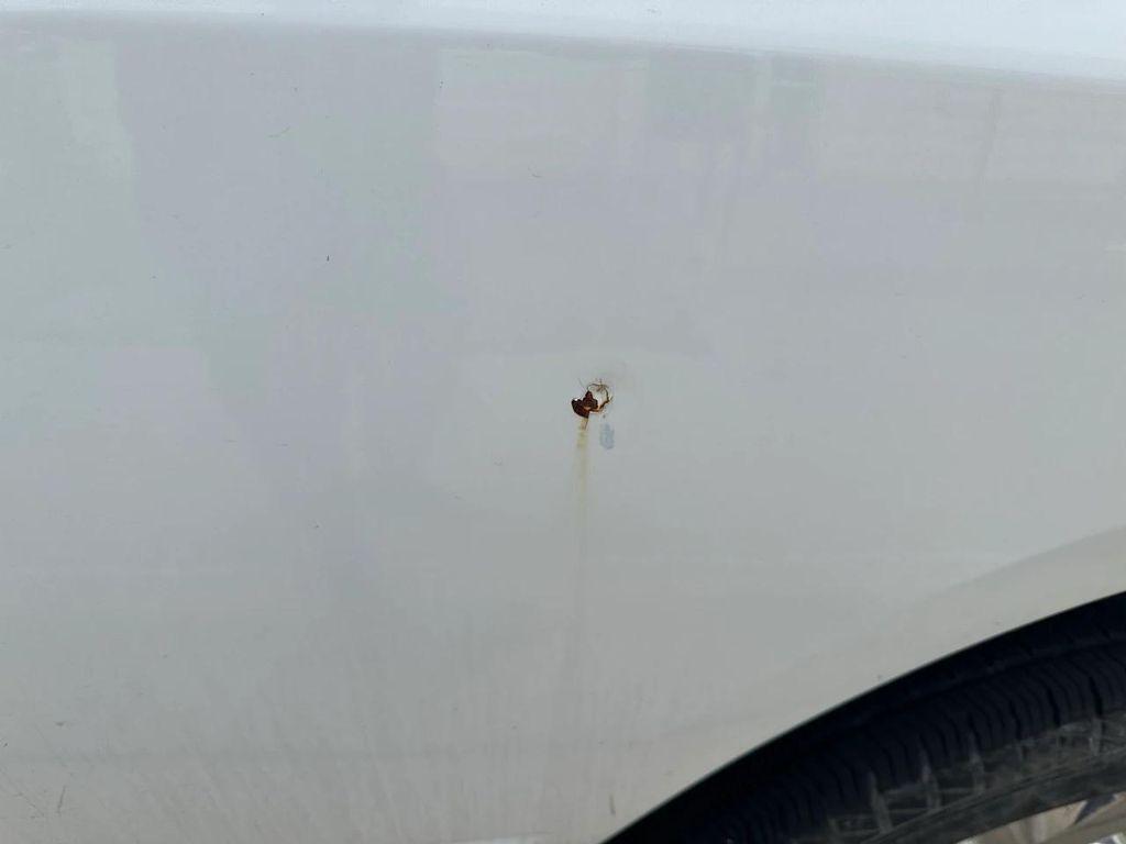 used 2016 Ram 1500 car, priced at $17,116