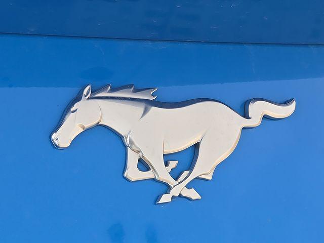 used 2024 Ford Mustang car, priced at $30,500