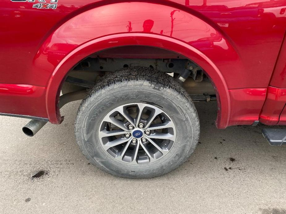 used 2019 Ford F-150 car