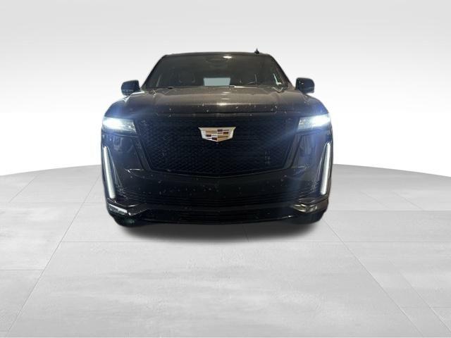 used 2024 Cadillac Escalade car, priced at $87,260