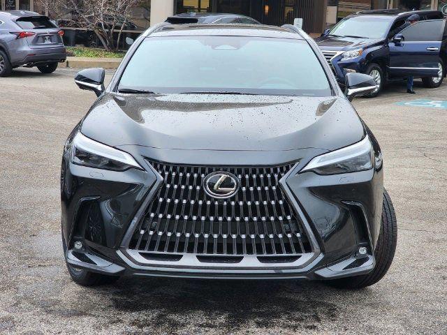 used 2024 Lexus NX 350 car, priced at $50,391