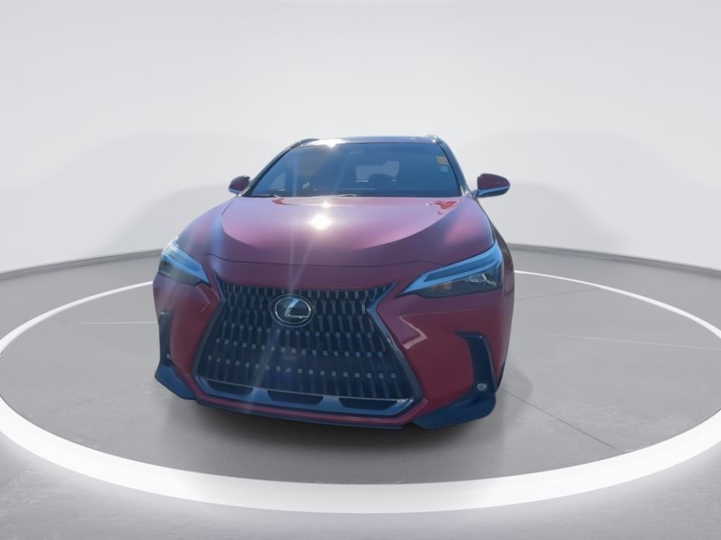 used 2024 Lexus NX 350 car, priced at $41,067