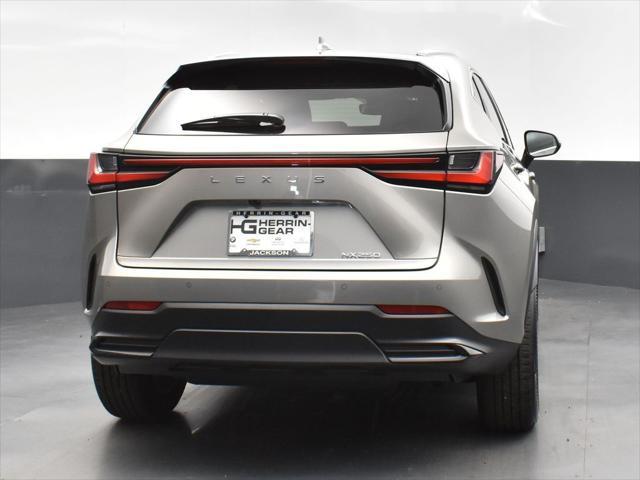 new 2025 Lexus NX 250 car